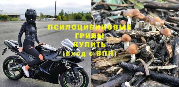 хмурый Нефтекумск